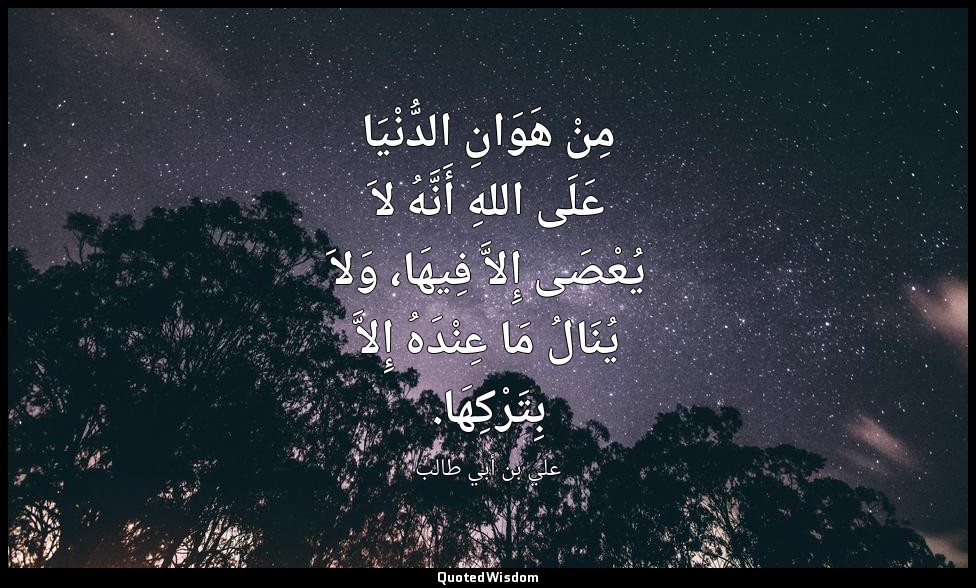 مِنْ هَوَانِ الدُّنْيَا عَلَى اللهِ أَنَّهُ لاَ يُعْصَى إِلاَّ فِيهَا، وَلاَ يُن — علي بن أبي طالب