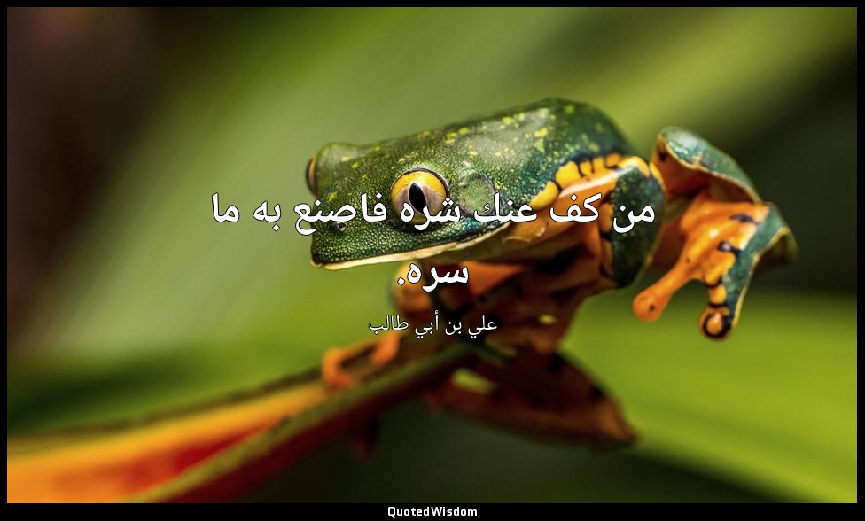 من كف عنك شره فاصنع به ما سره. — علي بن أبي طالب