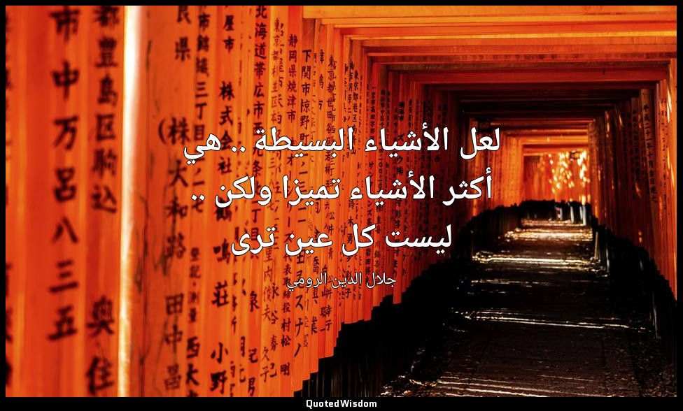 لعل الأشياء البسيطة .. هي أكثر الأشياء تميزا ولكن .. ليست كل عين ترى — جلال الدين الرومي