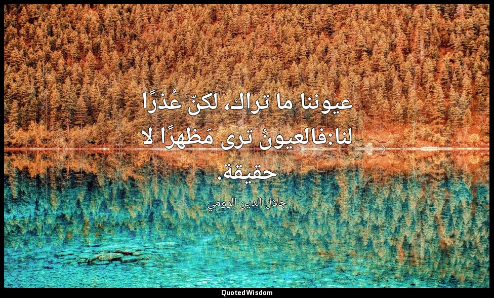 عيوننا ما تراك، لكنّ عُذرًا لنا:فالعيونُ ترى مَظهرًا لا حقيقة. — جلال الدين الرومي