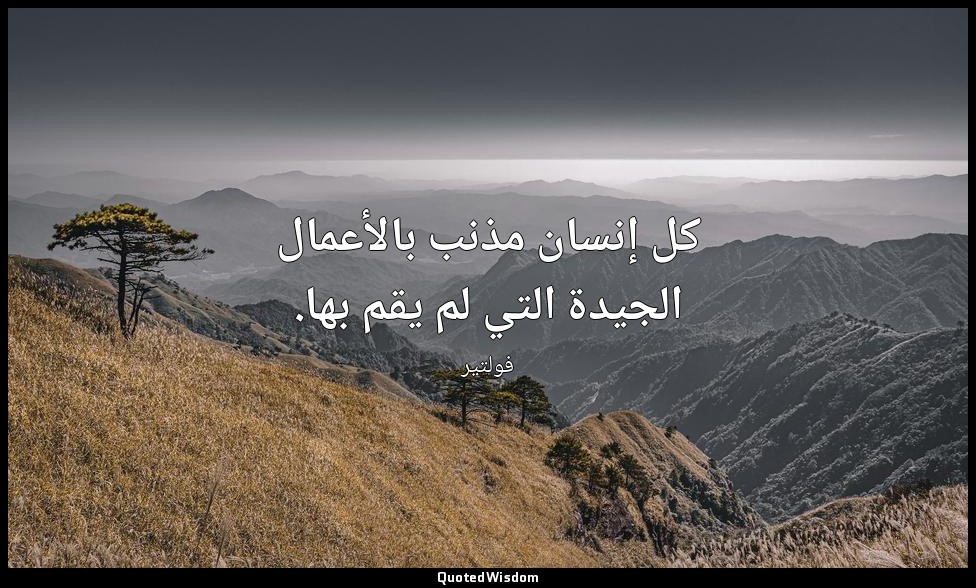 كل إنسان مذنب بالأعمال الجيدة التي لم يقم بها. — فولتير