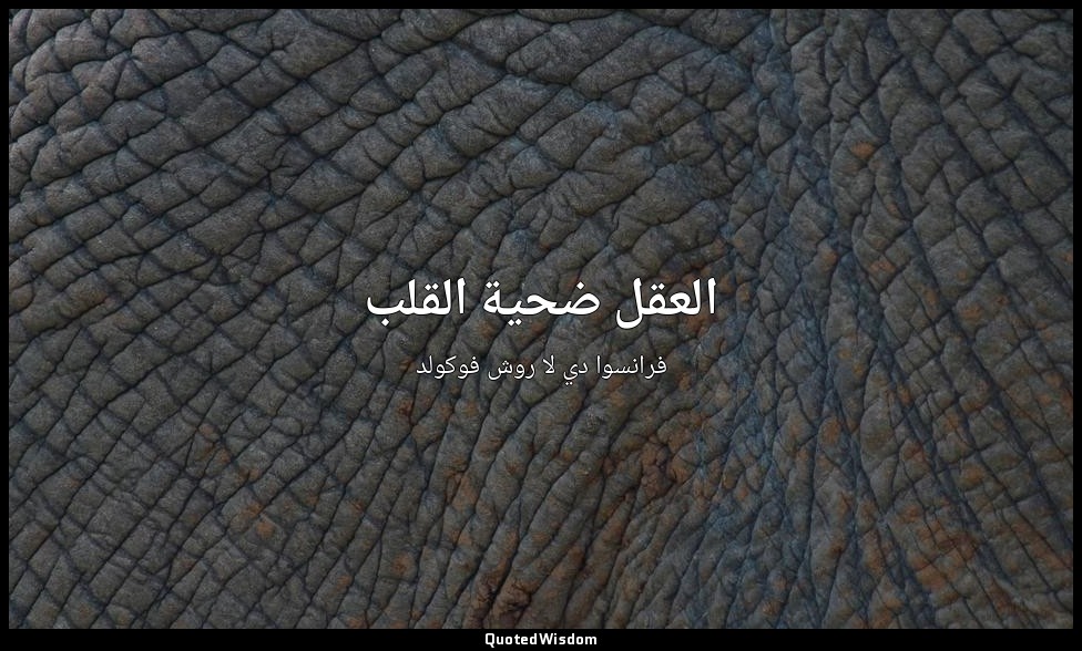 العقل ضحية القلب — فرانسوا دي لا روش فوكولد