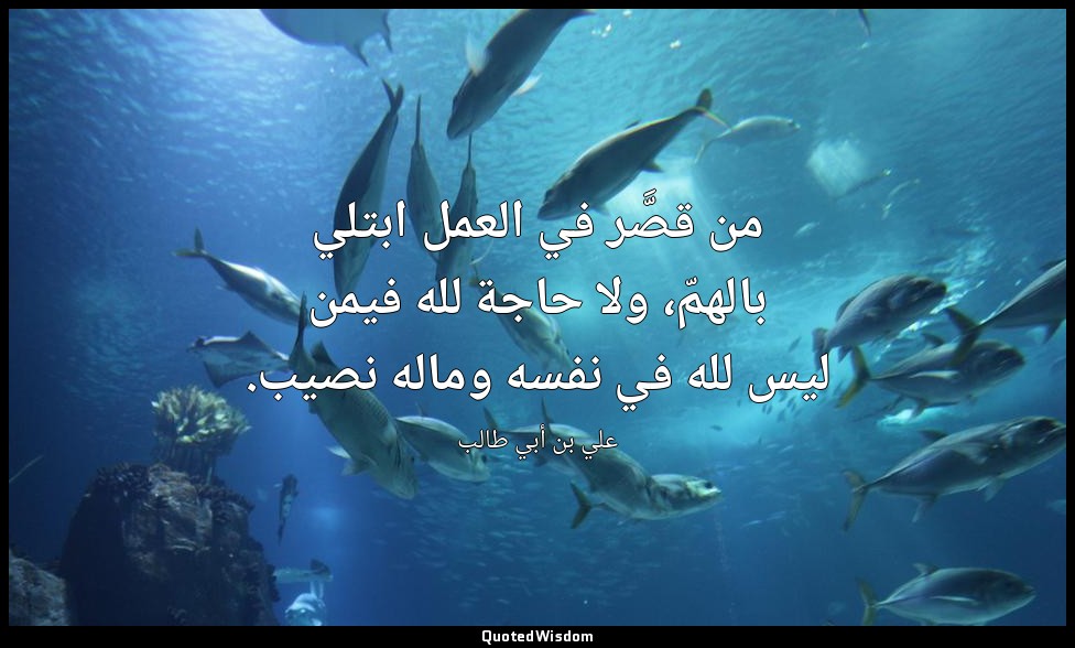 من قصَّر في العمل ابتلي بالهمّ، ولا حاجة لله فيمن ليس لله في نفسه وماله نصيب. — علي بن أبي طالب