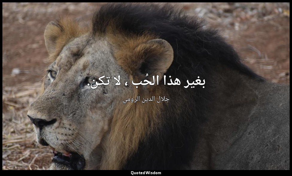 بغير هذا الحُب ، لا تكن. — جلال الدين الرومي