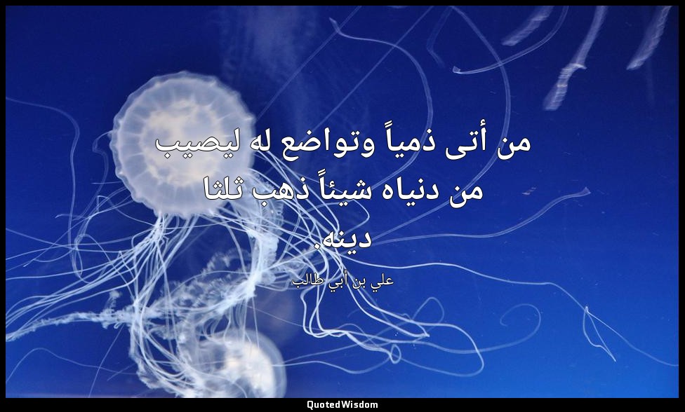 من أتى ذمياً وتواضع له ليصيب من دنياه شيئاً ذهب ثلثا دينه. — علي بن أبي طالب
