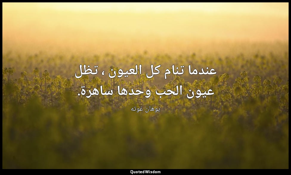 عندما تنام كل العيون ، تظل عيون الحب وحدها ساهرة. — يوهان غوته