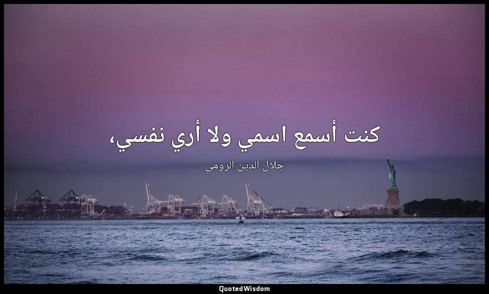 كنت أسمع اسمي ولا أري نفسي، — جلال الدين الرومي