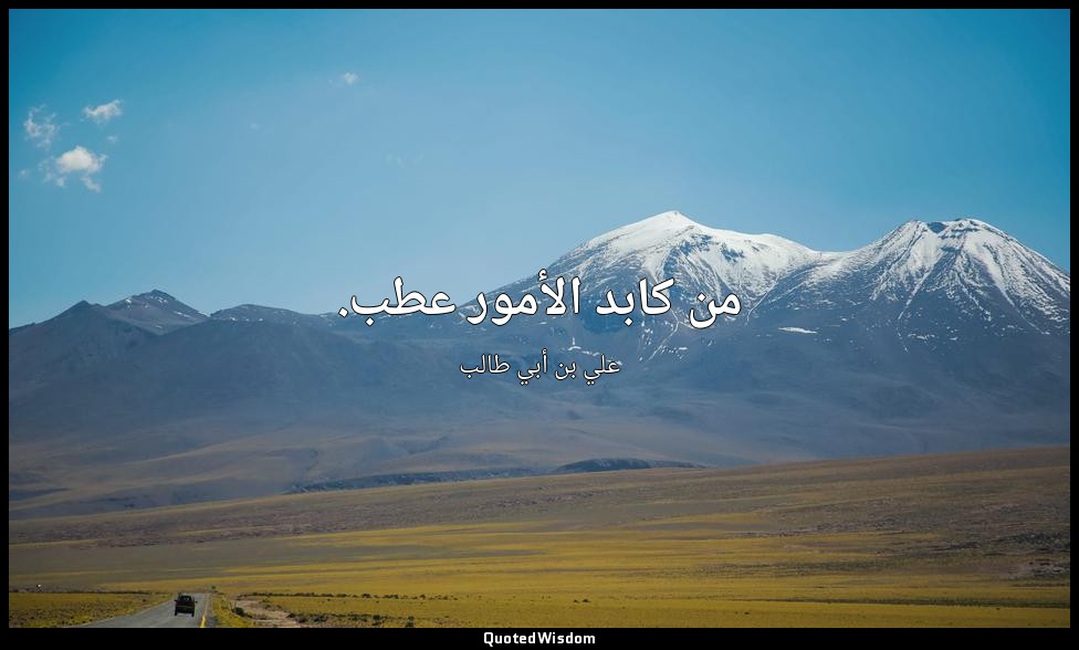 من كابد الأمور عطب. — علي بن أبي طالب