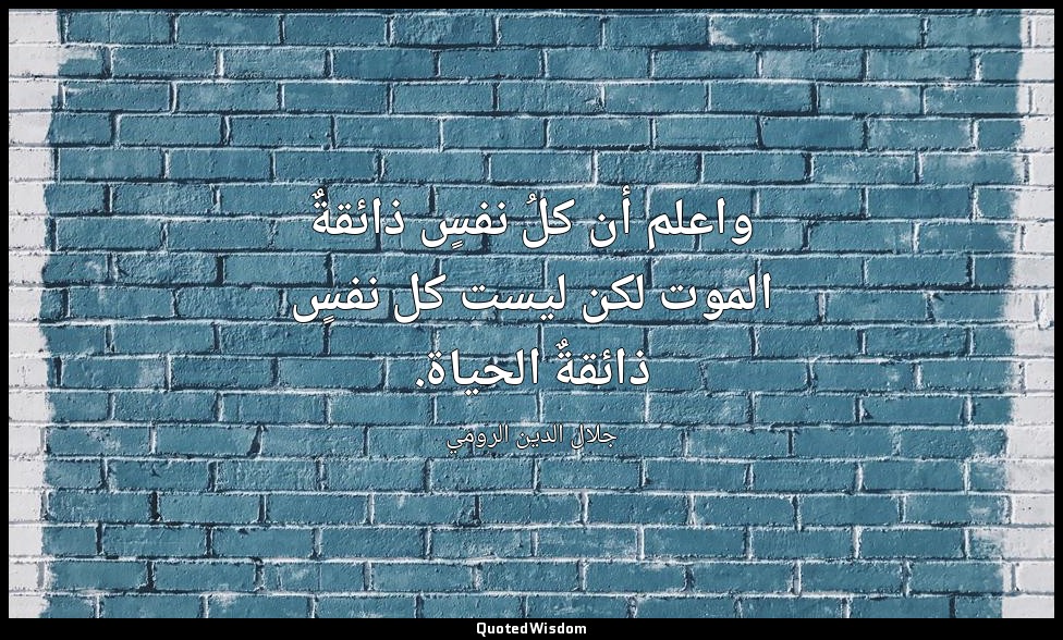 واعلم أن كلُ نفسٍ ذائقةٌ الموت لكن ليست كل نفسٍ ذائقةٌ الحياة. — جلال الدين الرومي