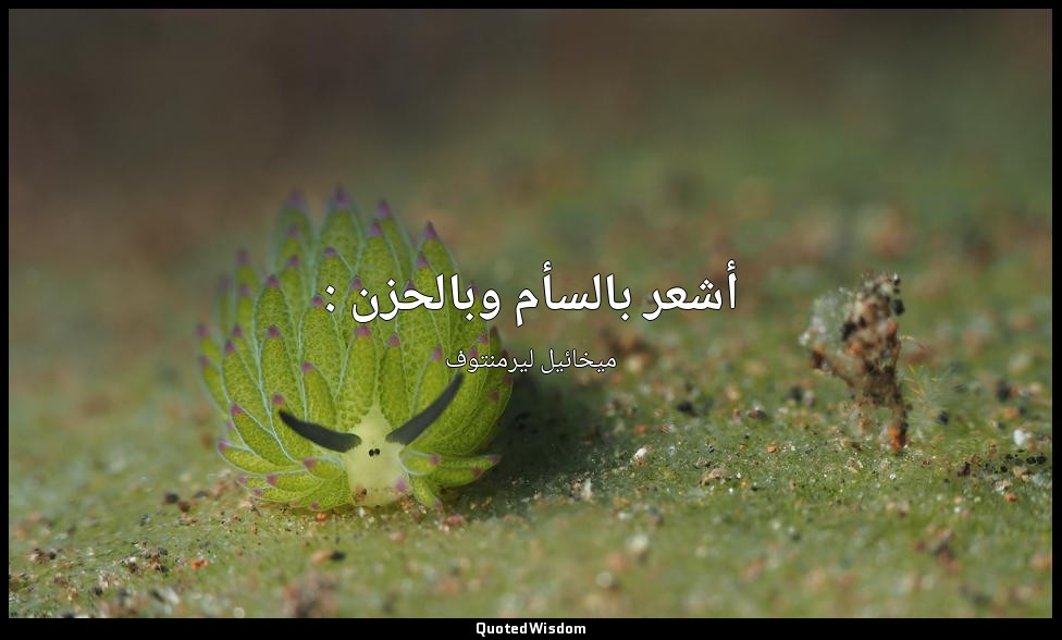 أشعر بالسأم وبالحزن : — ميخائيل ليرمنتوف