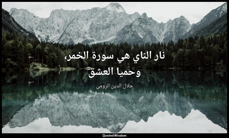 نار الناي هي سورة الخمر، وحميا العشق — جلال الدين الرومي