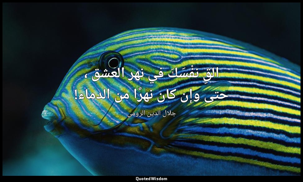 القِ نفْسَكَ في نهر العشق ، حتى وإن كان نهرًا من الدماء! — جلال الدين الرومي