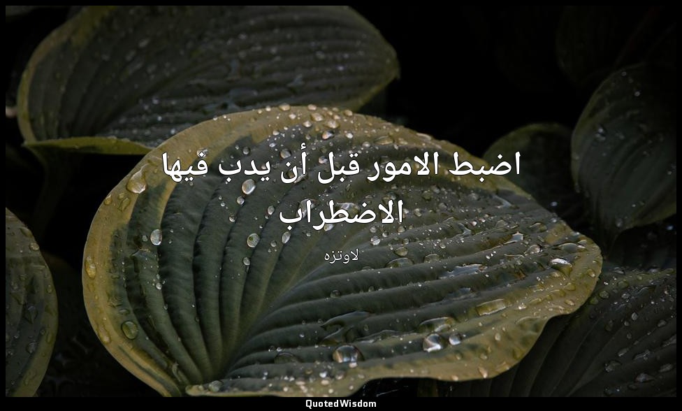 اضبط الامور قبل أن يدب فيها الاضطراب — لاوتزه