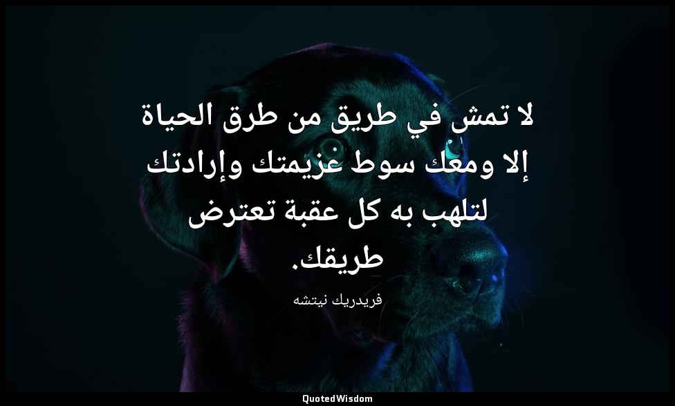 لا تمش في طريق من طرق الحياة إلا ومعك سوط عزيمتك وإرادتك لتلهب به كل عقبة تعترض  — فريدريك نيتشه