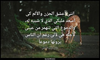 إننى أعشق الحزن والألم كى أسعد مليكي الذي لا شبيه له، والدموع التي تنهمر من عينى — جلال الدين الرومي