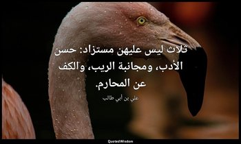 ثلاث ليس عليهن مستزاد: حسن الأدب، ومجانبة الريب، والكف عن المحارم. — علي بن أبي طالب