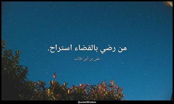 من رضي بالقضاء استراح. — علي بن أبي طالب