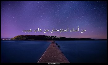 من أساء استوحش من عاب عيب. — علي بن أبي طالب