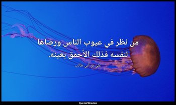 من نظر في عيوب الناس ورضاها لنفسه فذلك الأحمق بعينه. — علي بن أبي طالب