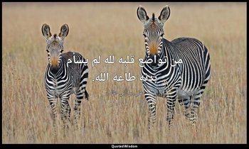 من تواضع قلبه لله لم يسأم بدنه طاعة الله. — علي بن أبي طالب