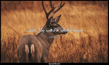 حيثما ذهبت فاذهب بكل قلبك. — كونفوشيوس
