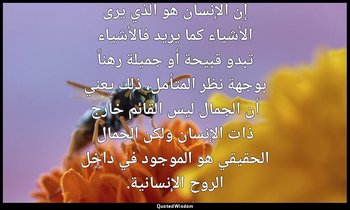إن الإنسان هو الذي يرى الأشياء كما يريد فالأشياء تبدو قبيحة أو جميلة رهناً بوجهة — ليو تولستوي