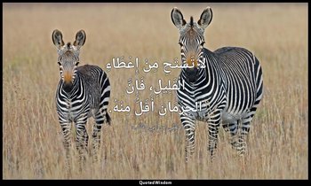 لاَ تَسْتَحِ مِنْ إِعْطَاءِ الْقَلِيلِ، فَإِنَّ الْحِرْمَانَ أَقَلُّ مِنْهُ. — علي بن أبي طالب