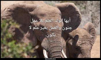 أيها الولد العلم بلا عمل جنون والعمل بغير علم لا يكون. — أبو حامد الغزالي