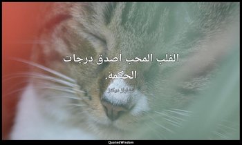 القلب المحب أصدق درجات الحكمة. — تشارلز ديكنز