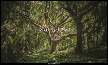 ما عال امرؤ اقتصد. — علي بن أبي طالب