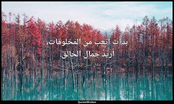 بدأت أتعب من المخلوقات، أريدُ جمال الخالق. — جلال الدين الرومي