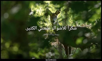 شكرا للأشواك علمتني الكثير. — روبندرونات طاغور