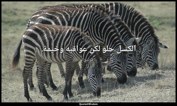 الكسل حلو لكن عواقبه وخيمة. — فولتير