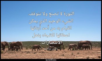 الثورة لا تصنع ولا تتوقف. الشيء الوحيد الذي يمكن القيام به من أحد أبنائها اعطائه — نابليون بونابرت
