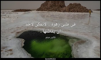 في قلبي زهرة .. لايمكن لأحد أن يقطفها . — فكتور هيغو