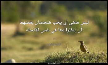 ليس معنى أن يحب شخصان بعضهما أن ينظرا معا في نفس الاتجاه . — نابليون بونابرت