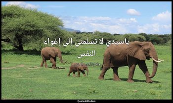 ياسيدي لا تسلمني إلى إغواء النفس — جلال الدين الرومي