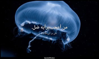 من أعجب برأيه ضل. — علي بن أبي طالب