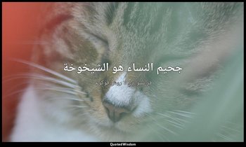 جحيم النساء هو الشيخوخة — فرانسوا دي لا روش فوكولد
