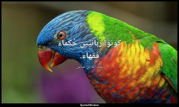 كونوا ربَّانيِّين حُكَماء فقهاء. — عبد الله بن عباس