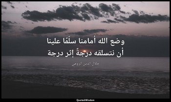 وضع الله أمامنا سلّمًا علينا أن نتسلقه درجةً إثر درجة — جلال الدين الرومي