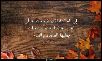 إن الحكمة الإلهية حدت بنا أن نحب بعضنا بعضاً بدرجات يُمليها القضاء والقدر. — جلال الدين الرومي