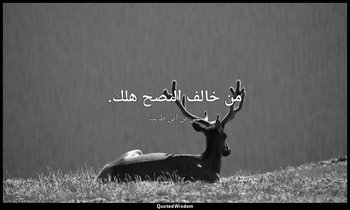 من خالف النصح هلك. — علي بن أبي طالب
