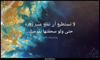لا تستطيع أن تقلع عبير زهرة حتى ولو سحقتها بقدميك. — روبندرونات طاغور