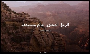 الرجل المجنون حالم مستيقظ. — سيغموند فرويد