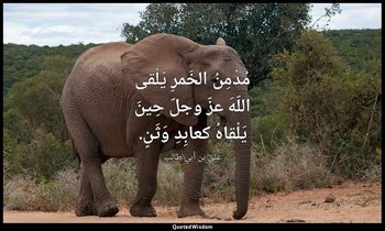 مُدْمِنُ الخَمرِ يَلْقى اللّهَ عزّ وجلّ حِينَ يَلْقاهُ كعابِدِ وَثَنٍ. — علي بن أبي طالب