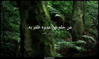 من حلم عن عدوه ظفر به. — علي بن أبي طالب