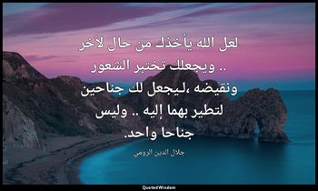 لعل الله يأخذك من حال لآخر .. ويجعلك تختبر الشعور ونقيضه ،لـيجعل لك جناحين لتطير — جلال الدين الرومي