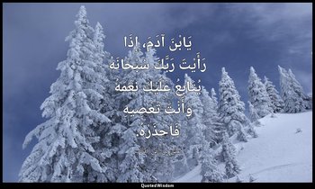 يَابْنَ آدَمَ، إِذَا رَأَيْتَ رَبَّكَ سُبْحَانَهُ يُتَابِعُ عَلَيْكَ نِعَمَهُ وَ — علي بن أبي طالب