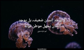 لا يوجد إنسان ضعيف، بل يوجد إنسان يجهل موطن قوته. — ليو تولستوي